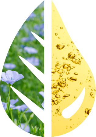 LeanLife Logo